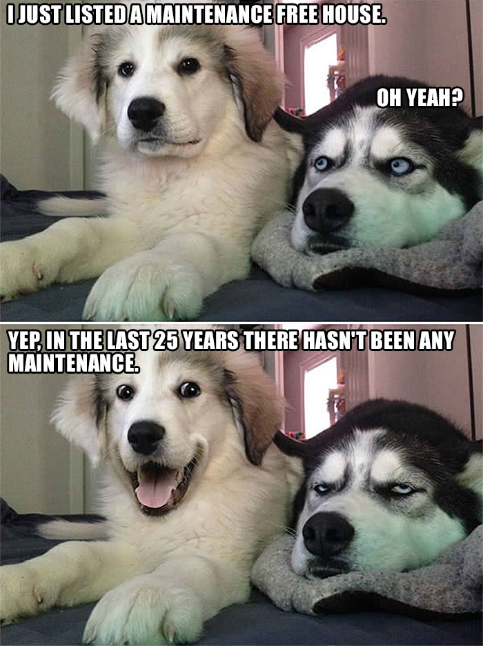 two dogs telling real estate jokes